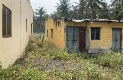  2 Acre Agricultural/Farm Land for Sale in Samalapuram, Coimbatore