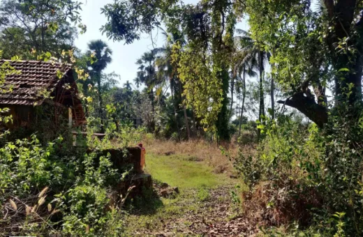 Padubidre, Udupi