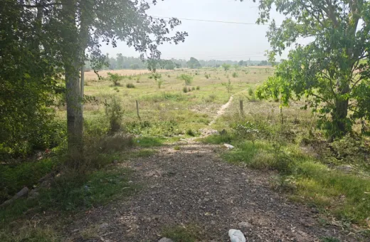  35 Acre Agricultural/Farm Land for Sale in Banur, Mohali