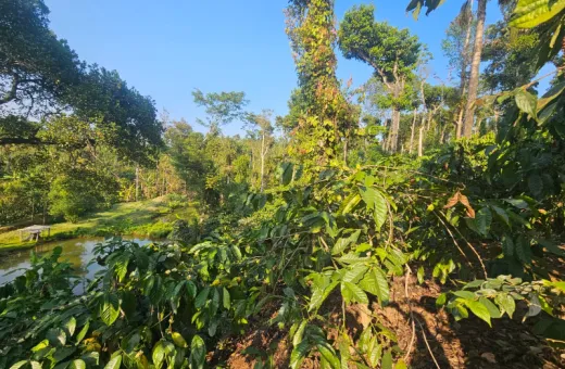  15 Acre Agricultural/Farm Land for Sale in Bangalore Hyderabad Road