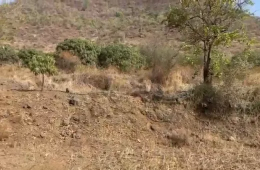  14 Acre Residential Plot for Sale in Rihe, Pune