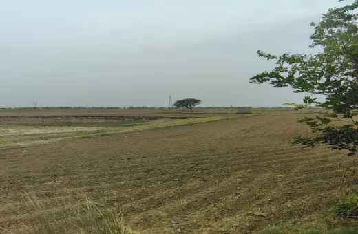 Badli, Jhajjar