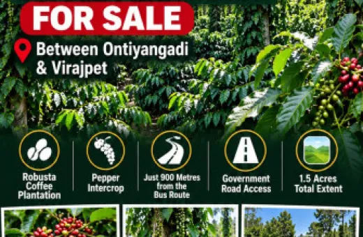 1 Acre Agricultural/Farm Land for Sale in Virajpet, Kodagu