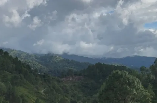  7 Acre Agricultural/Farm Land for Sale in Ranikhet, Almora