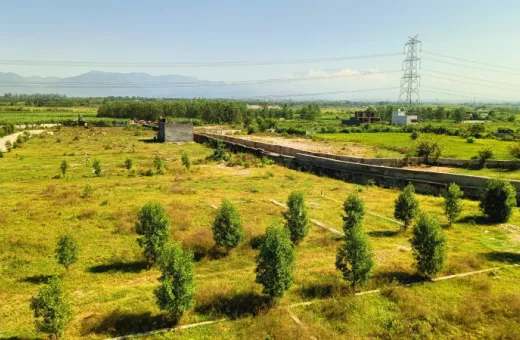  200 Sq. Yards Residential Plot for Sale in Badripur, Dehradun