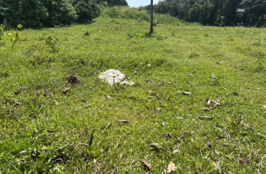  129 Acre Residential Plot for Sale in Mulanthuruthy, Ernakulam