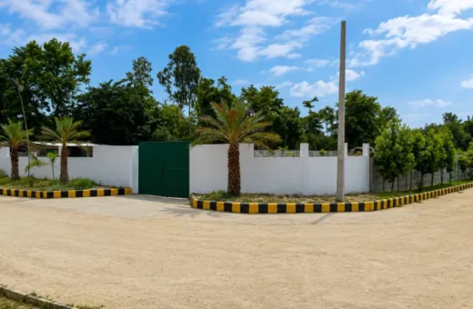 1000 Sq.ft. Residential Plot for Sale in Sultanpur Road, Lucknow