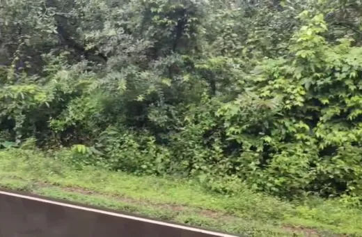  17200 Sq. Meter Residential Plot for Sale in Dodamarg, North Goa, 