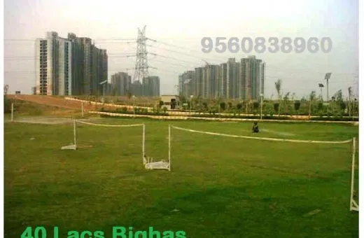  9072 Sq.ft. Agricultural/Farm Land for Sale in Tajpur Pahari, Badarpur, Delhi