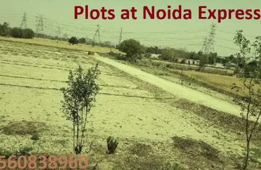 1 RK 9071 Sq.ft. Farm House for Sale in Sector 148, Noida, 