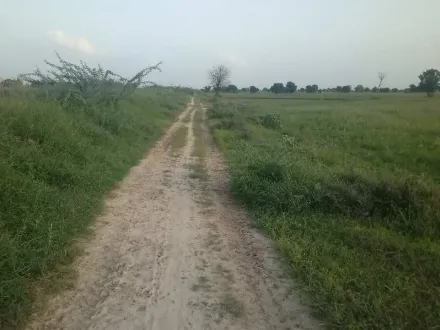  120000 Sq. Yards Residential Plot for Sale in Sanand, Ahmedabad