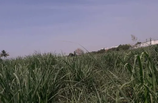  60 Guntha Agricultural/Farm Land for Rent in Satpur, Nashik