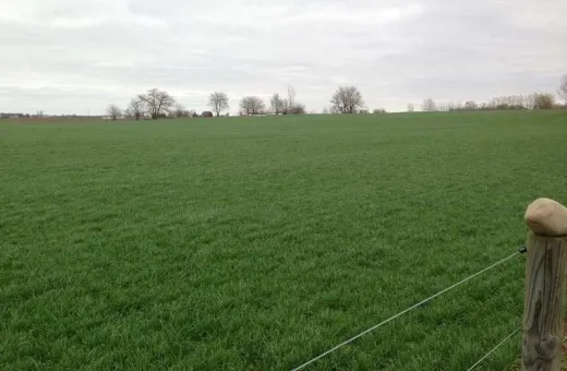  100 Bigha Agricultural/Farm Land for Sale in Beas, Amritsar