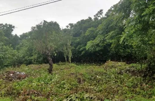  355 Sq. Meter Residential Plot for Sale in Mapusa, Goa