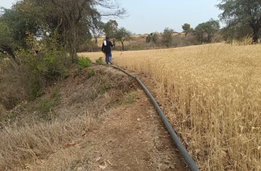  2 Acre Agricultural/Farm Land for Sale in Barela, Jabalpur