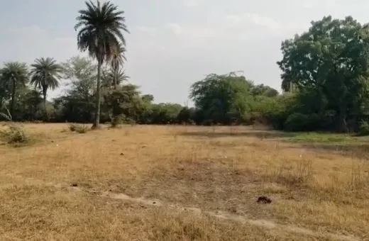  8 Bigha Agricultural/Farm Land for Sale in Dabok, Udaipur