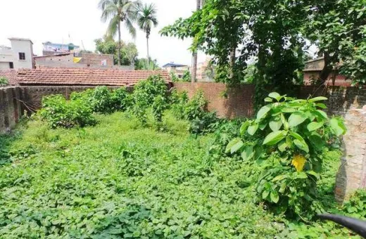  2300 Sq.ft. Residential Plot for Sale in Tollygunge, Kolkata