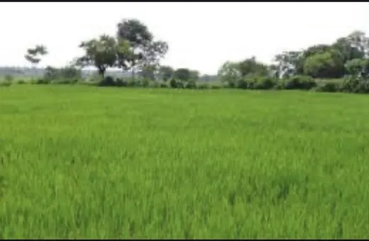  4840 Sq. Yards Commercial Land for Sale in Chakrata Road, Dehradun
