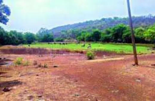  10 Acre Agricultural/Farm Land for Sale in Dadri, Bhiwani