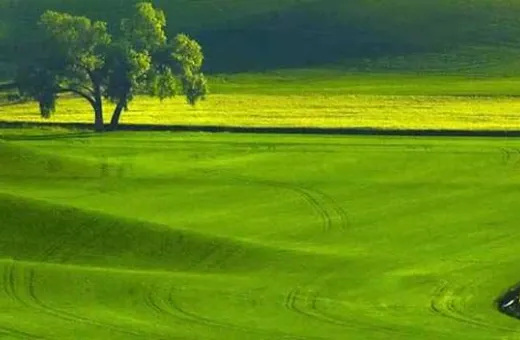  2000 Sq.ft. Commercial Land for Sale in Mumbai Nashik Highway, Thane