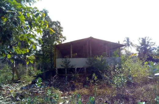  6 Acre Agricultural/Farm Land for Sale in Alanganallur, Madurai