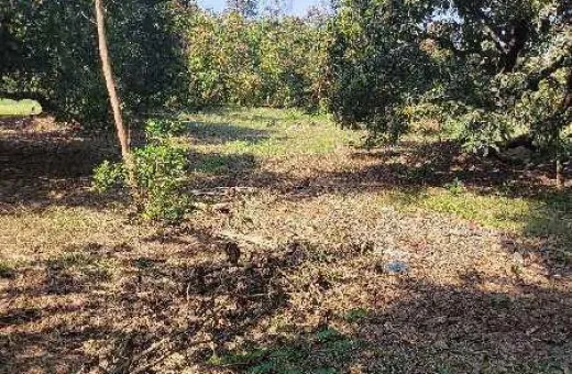  3 Acre Industrial Land for Sale in Umbergaon, Valsad