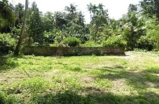  14 Cent Residential Plot for Sale in Changanassery, Kottayam