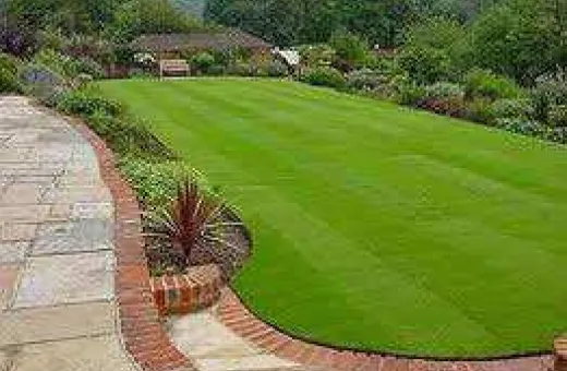  500 Sq. Yards Residential Plot for Sale in Holy City, Amritsar