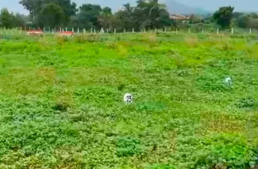 156 Sq. Yards Residential Plot for Sale in Pathardi Phata, Nashik