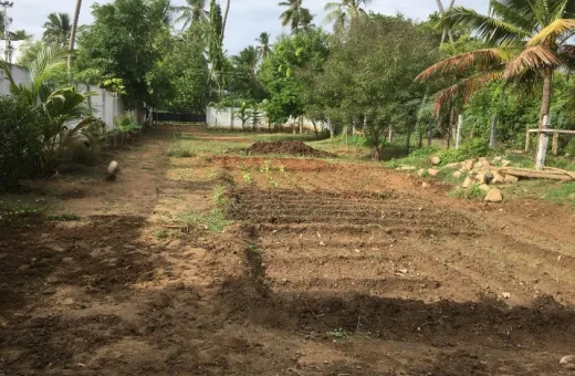  14000 Sq.ft. Residential Plot for Sale in Manachanallur, Tiruchirappalli