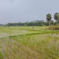 Tindivanam, Villupuram photo 2