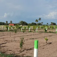 Malayankulam, Kanchipuram photo 2