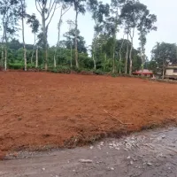 Kunnathunad, Ernakulam photo 2